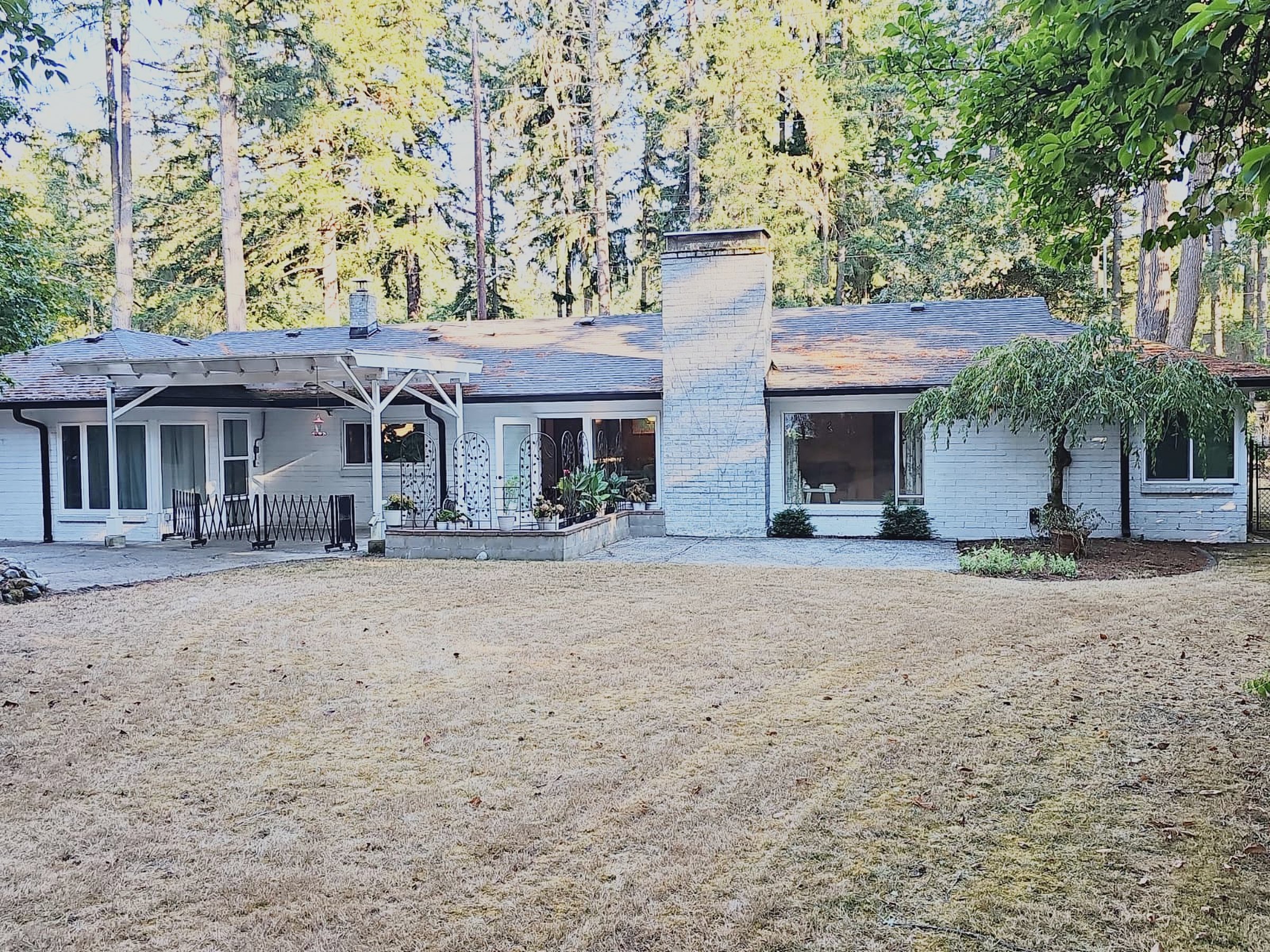 Back of the home with covered patio, lawn and tall evergreen trees